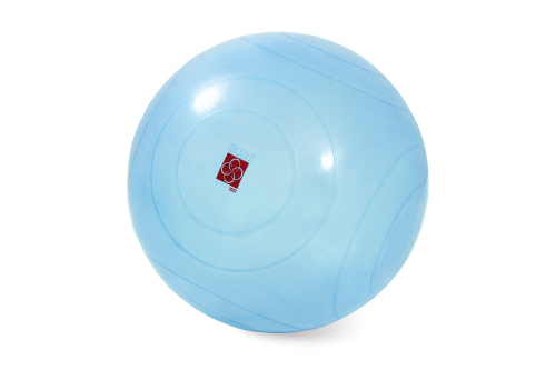 BOSU Ballast Ball
