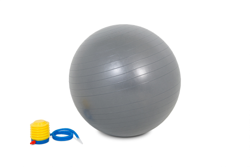 PowerMark Gym Ball 65cm