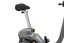 LifeSpan C15W Vélo d'exercice