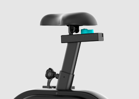 newton fitness
