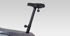 newton fitness