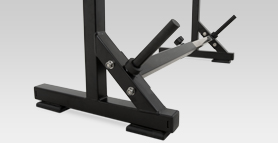 newton fitness