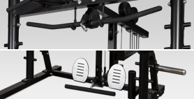 newton fitness