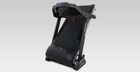 newton fitness