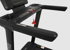 newton fitness