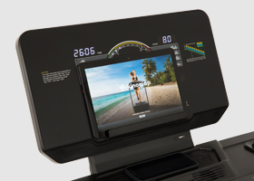 newton fitness