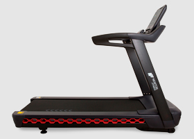 newton fitness