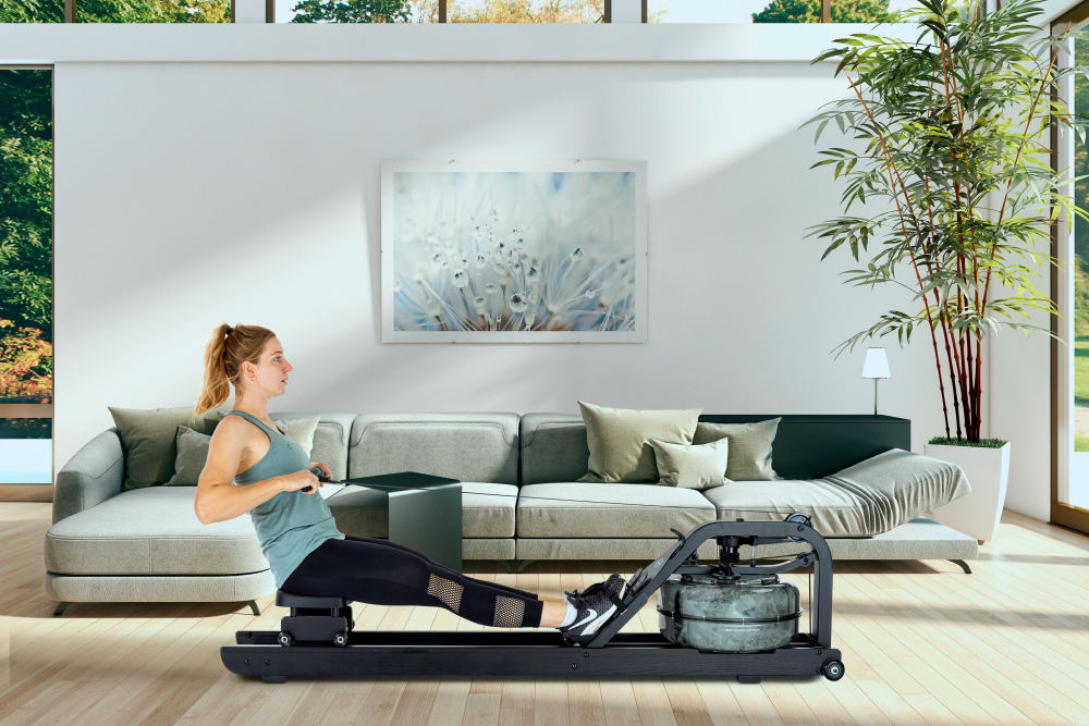 Fluid Rower Apollo Plus Zwart