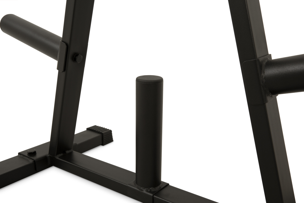 Newton Fitness PR-02 Plate Tree