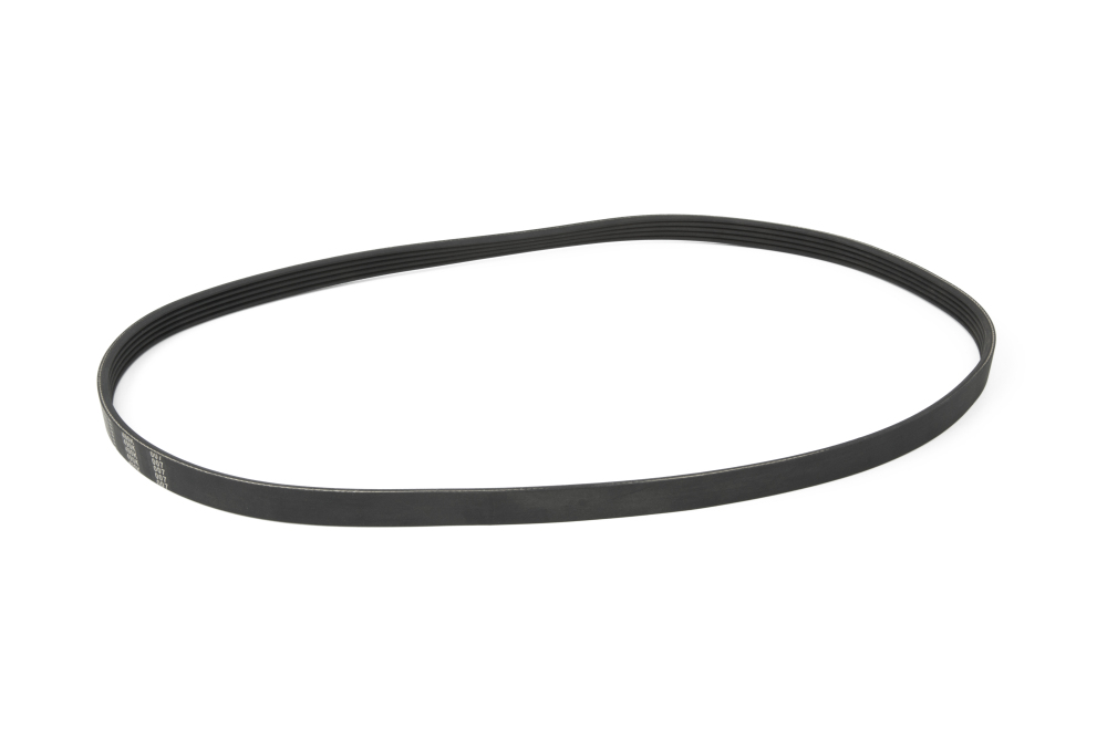 Newton Fitness SP-1 Fengshou V-snaar 490K