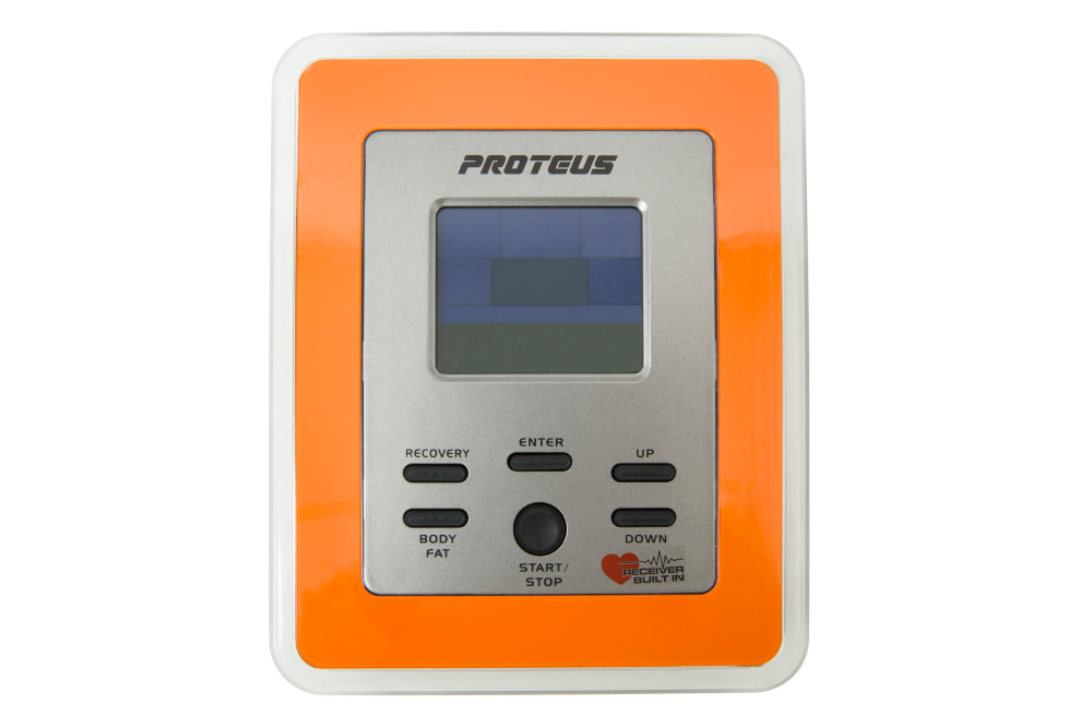 Proteus Daytona V6 Display