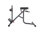 BodyCraft F670 Roman Chair