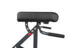 BodyCraft F670 Roman Chair