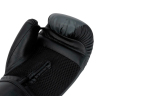Everlast Gants de Boxe Prospect 2 Noir/Gris 8 oz