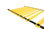 Hastings Agility-Speed Leiter 6 Meter