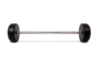 Hastings 25 kg Professional Barbell