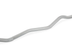 Newton Fitness OB-47 EZ-Curl Stang