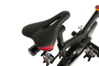 Newton Fitness Indoor Cycle SP-3