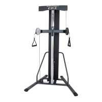 BodyCraft CFT Compact Functional Trainer