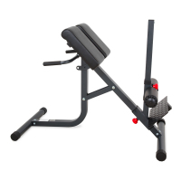 BodyCraft F670 Roman Chair