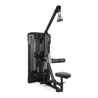 Inspire DUAL Station Lat + Low Row