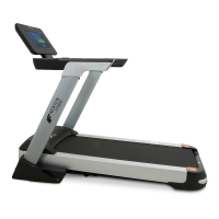Newton Fitness Skyrunner Elite TFT Treadmill
