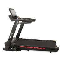 Newton Fitness T6 TFT Loopband