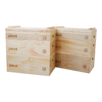 Pivot Fitness PM250 Wooden Jerk Block Set